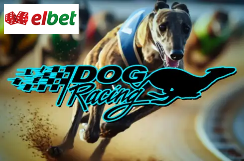 Dog Racing